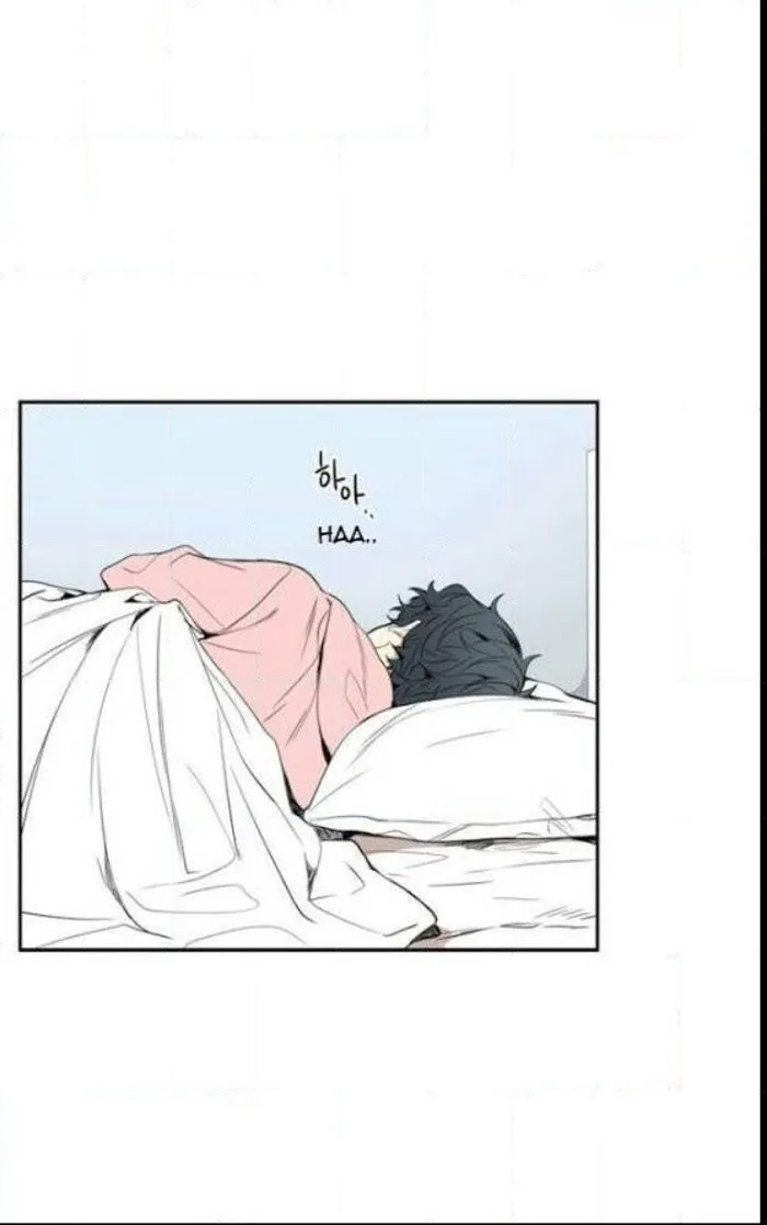 Cherry Blossoms After Winter - Chapter 27 Page 11