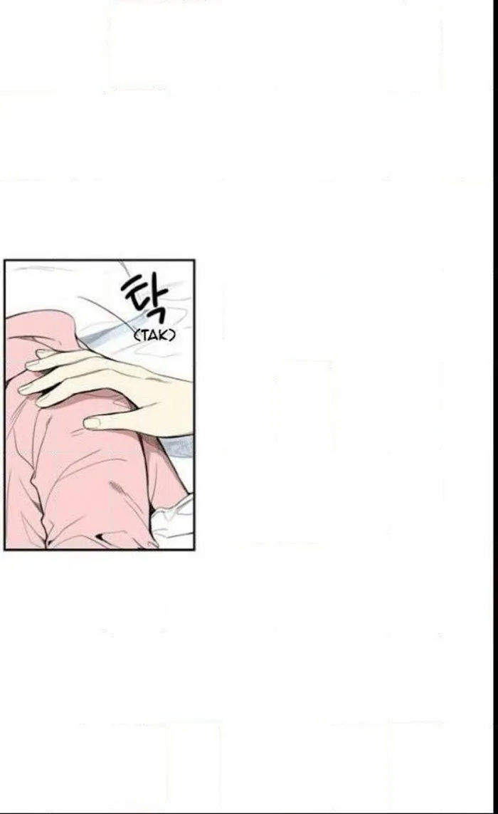 Cherry Blossoms After Winter - Chapter 27 Page 13