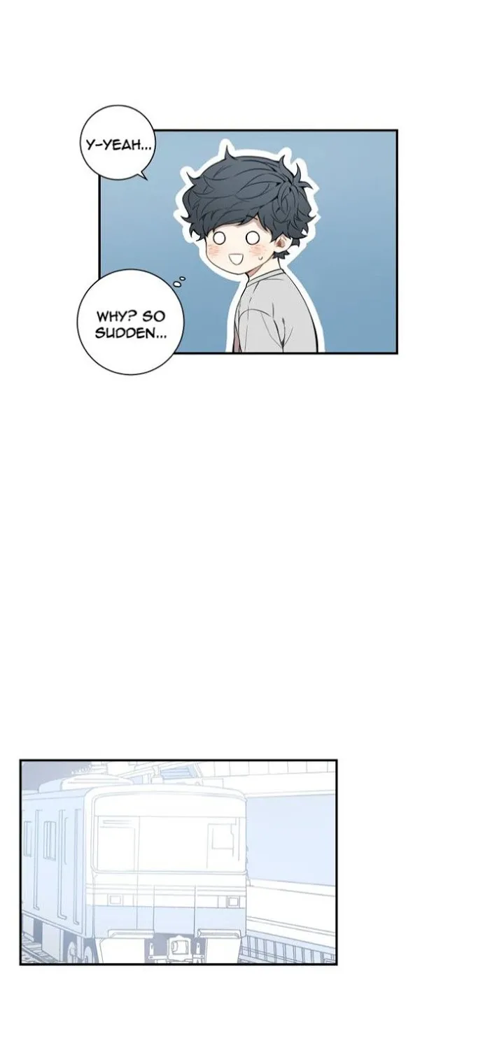Cherry Blossoms After Winter - Chapter 31 Page 21