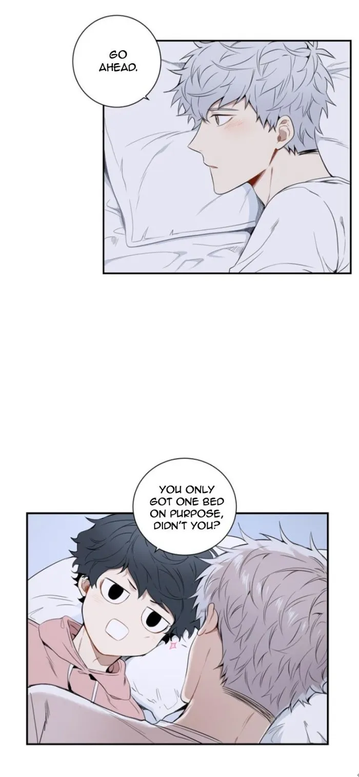 Cherry Blossoms After Winter - Chapter 33 Page 13