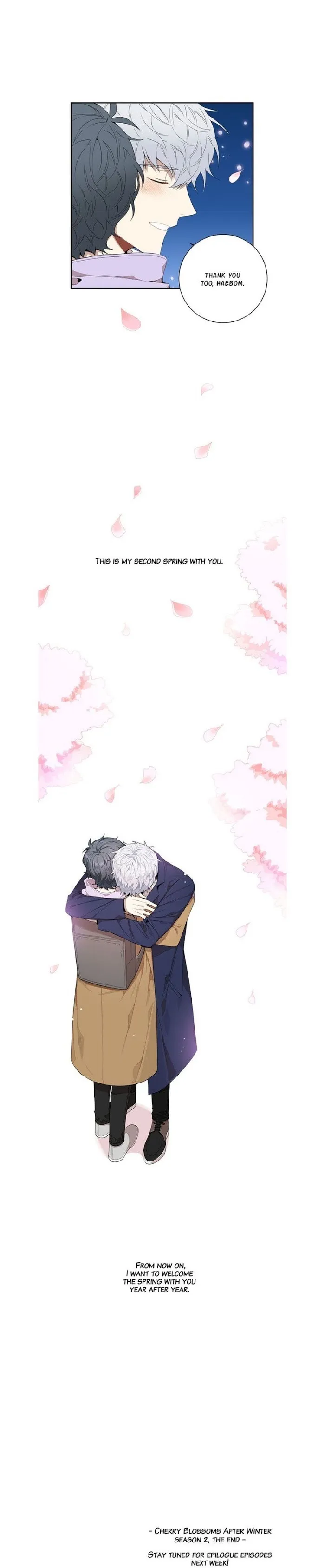 Cherry Blossoms After Winter - Chapter 62 Page 13