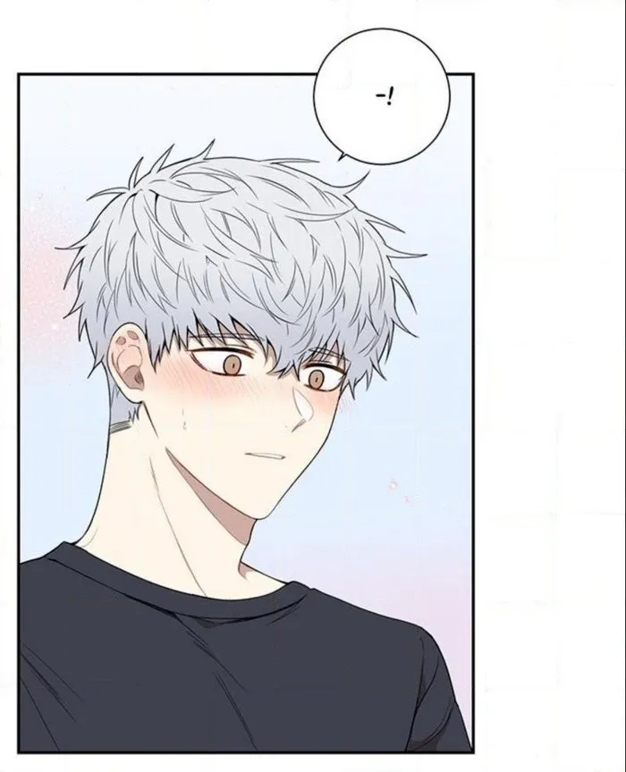 Cherry Blossoms After Winter - Chapter 64 Page 5