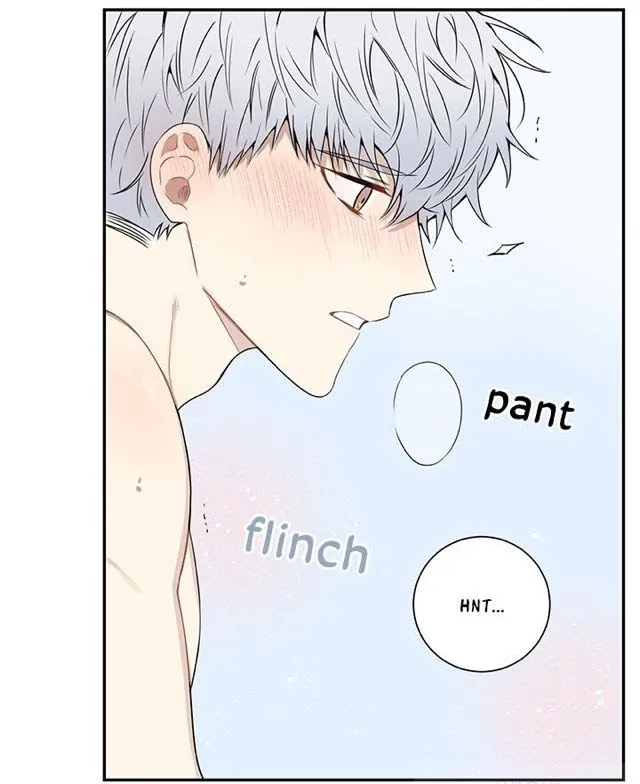 Cherry Blossoms After Winter - Chapter 66 Page 61