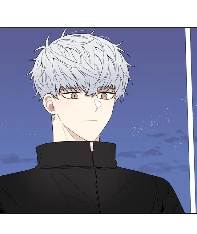 Cherry Blossoms After Winter - Chapter 67 Page 66
