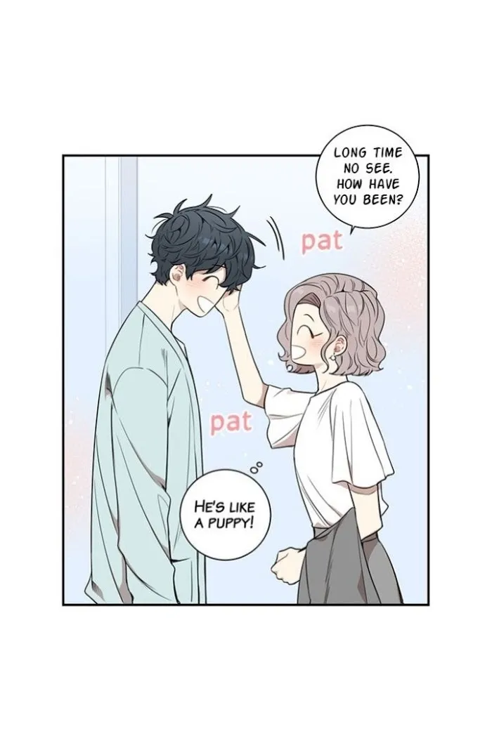 Cherry Blossoms After Winter - Chapter 70 Page 46