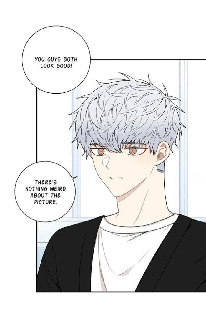 Cherry Blossoms After Winter - Chapter 71 Page 28
