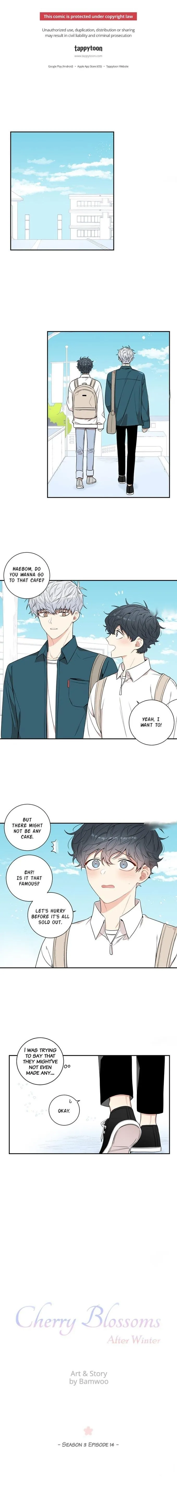 Cherry Blossoms After Winter - Chapter 76 Page 1