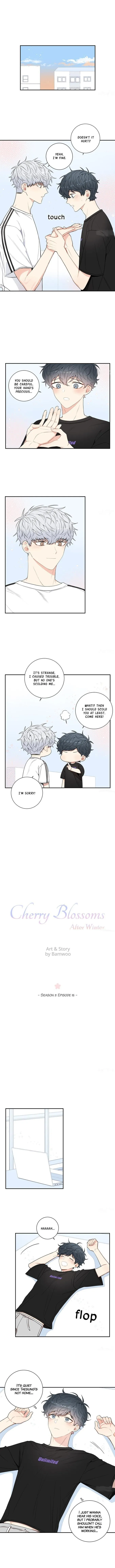 Cherry Blossoms After Winter - Chapter 77 Page 4