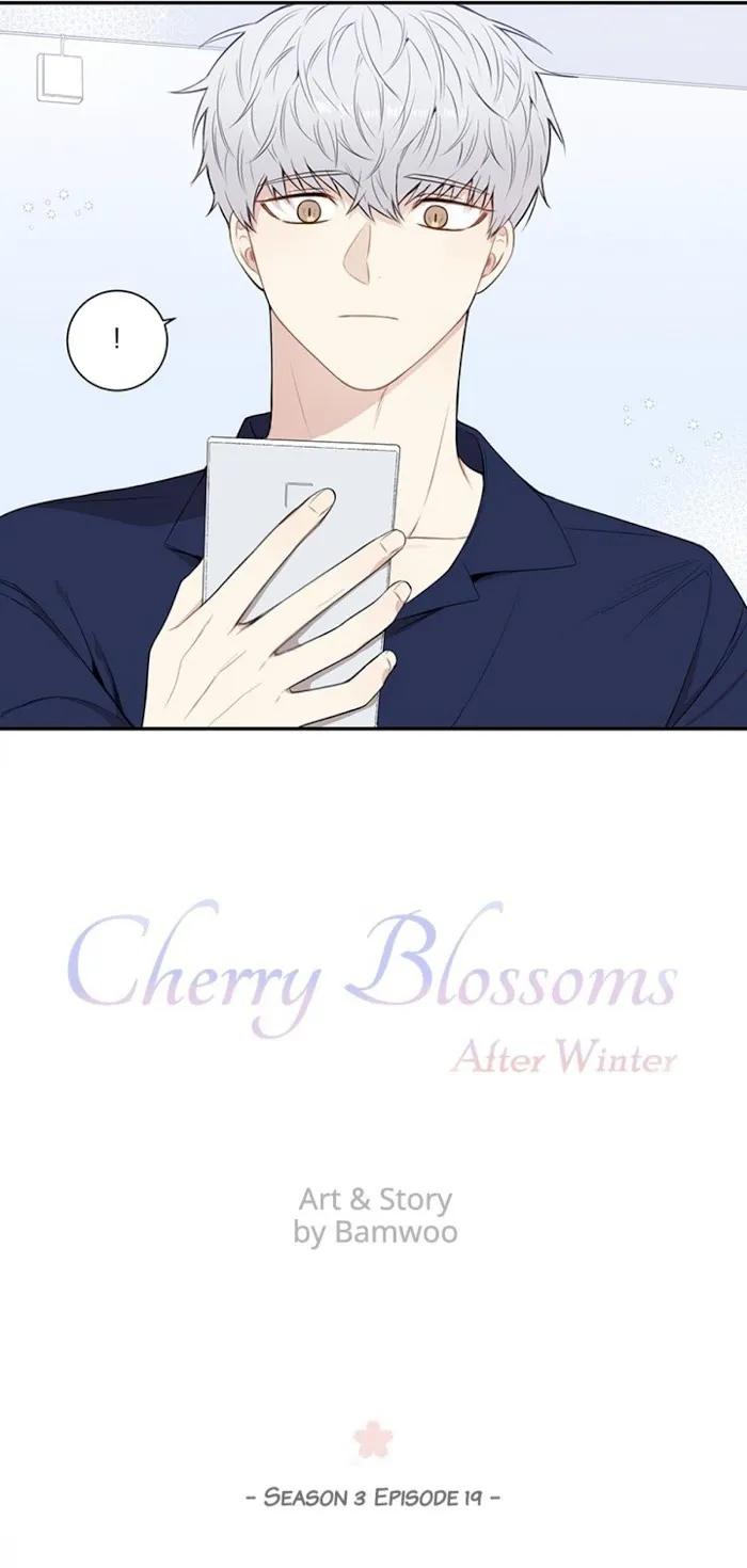 Cherry Blossoms After Winter - Chapter 81 Page 4