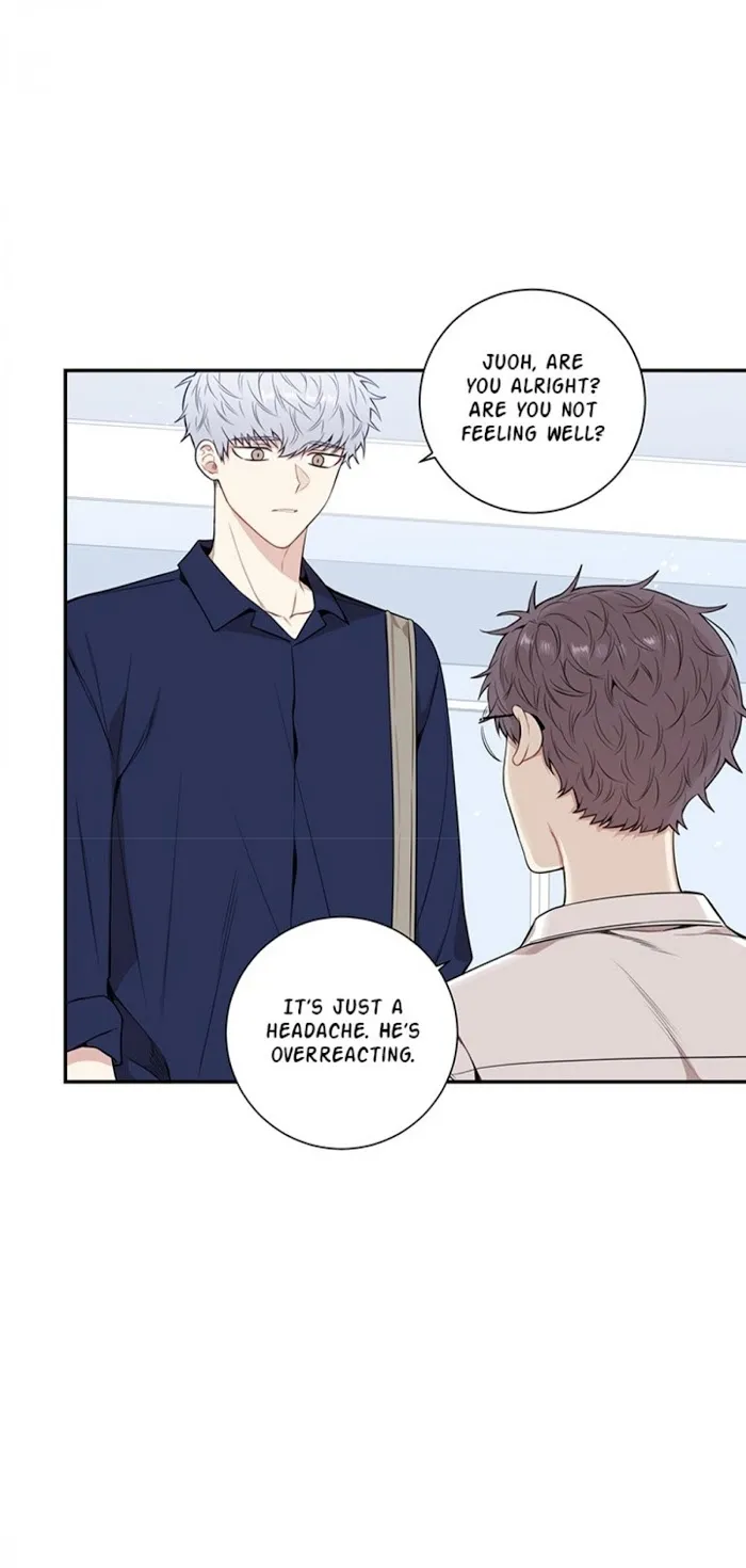 Cherry Blossoms After Winter - Chapter 81 Page 12