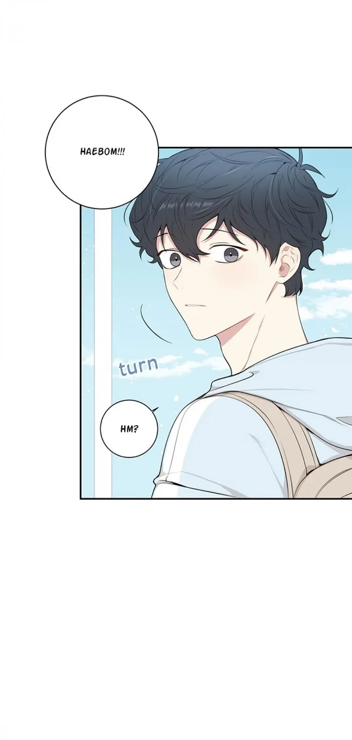 Cherry Blossoms After Winter - Chapter 81 Page 19