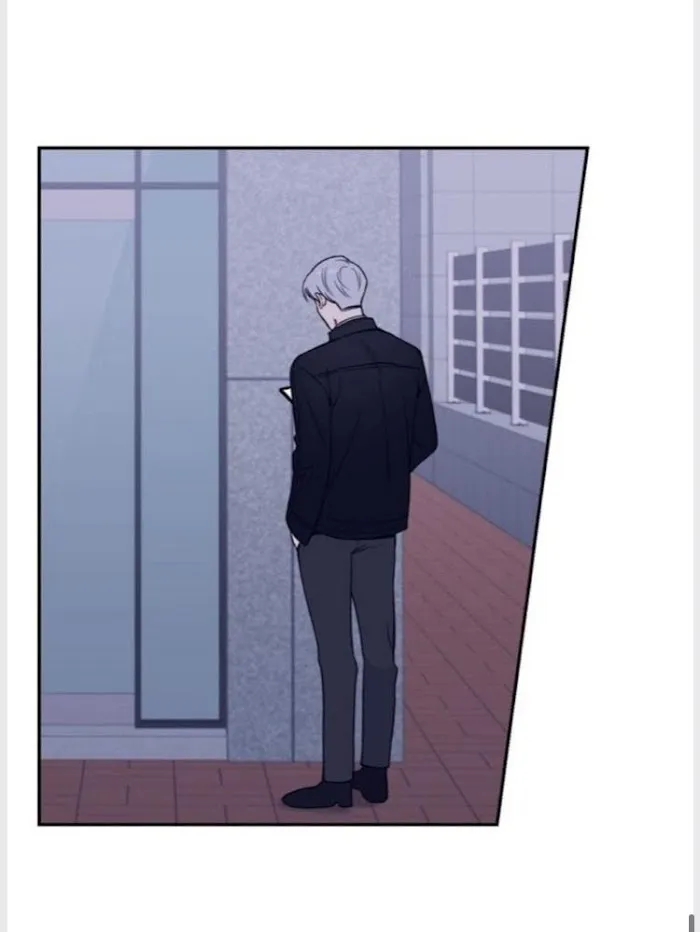 Cherry Blossoms After Winter - Chapter 91 Page 57