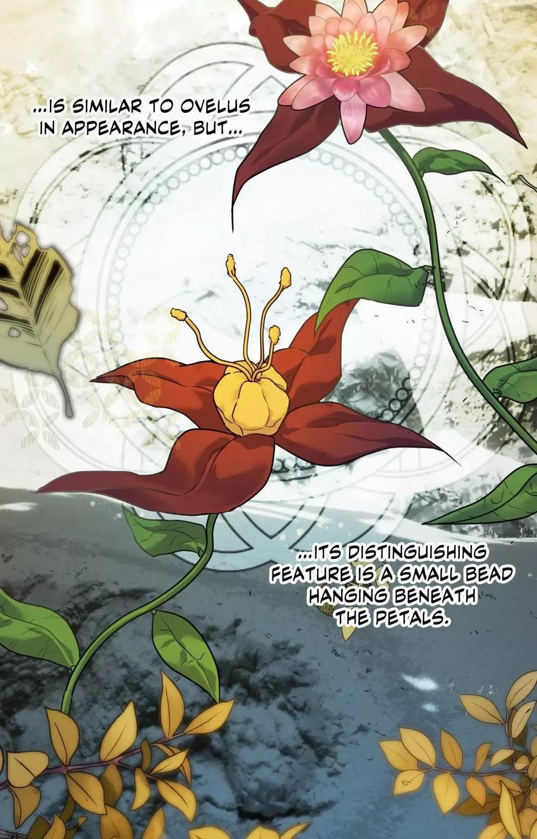 The Flower Of Aloshya - Chapter 21 Page 48