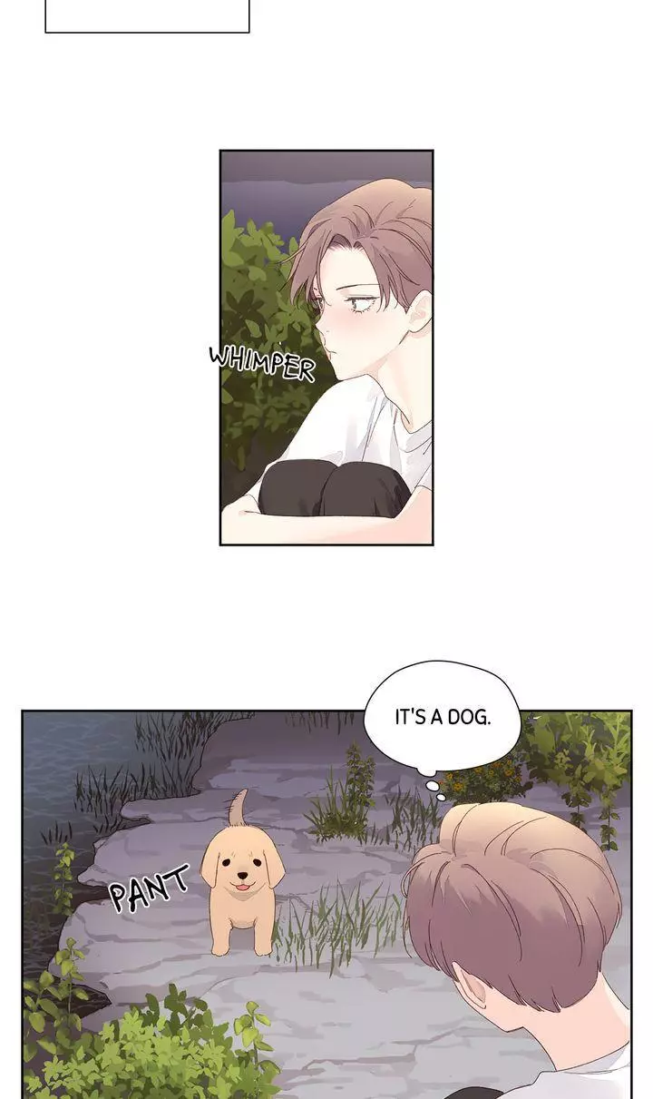 4 Week Lovers - Chapter 84 Page 26