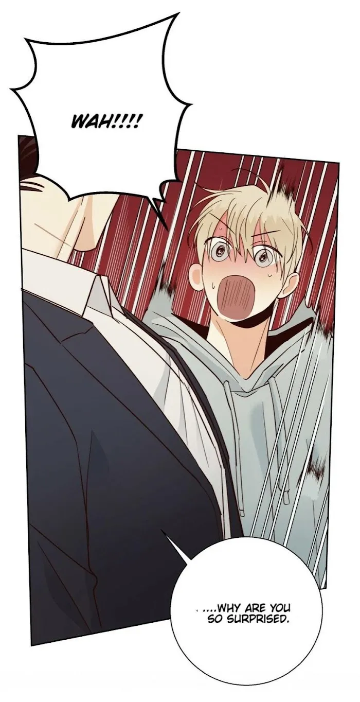 Dangerous Convenience Store - Chapter 40 Page 43