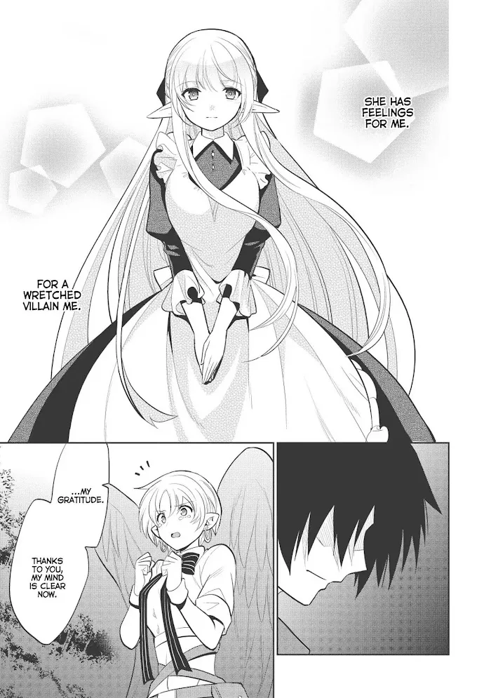 Maou No Ore Ga Dorei Elf Wo Yome Ni Shitanda Ga, Dou Medereba Ii? - Chapter 11 Page 11