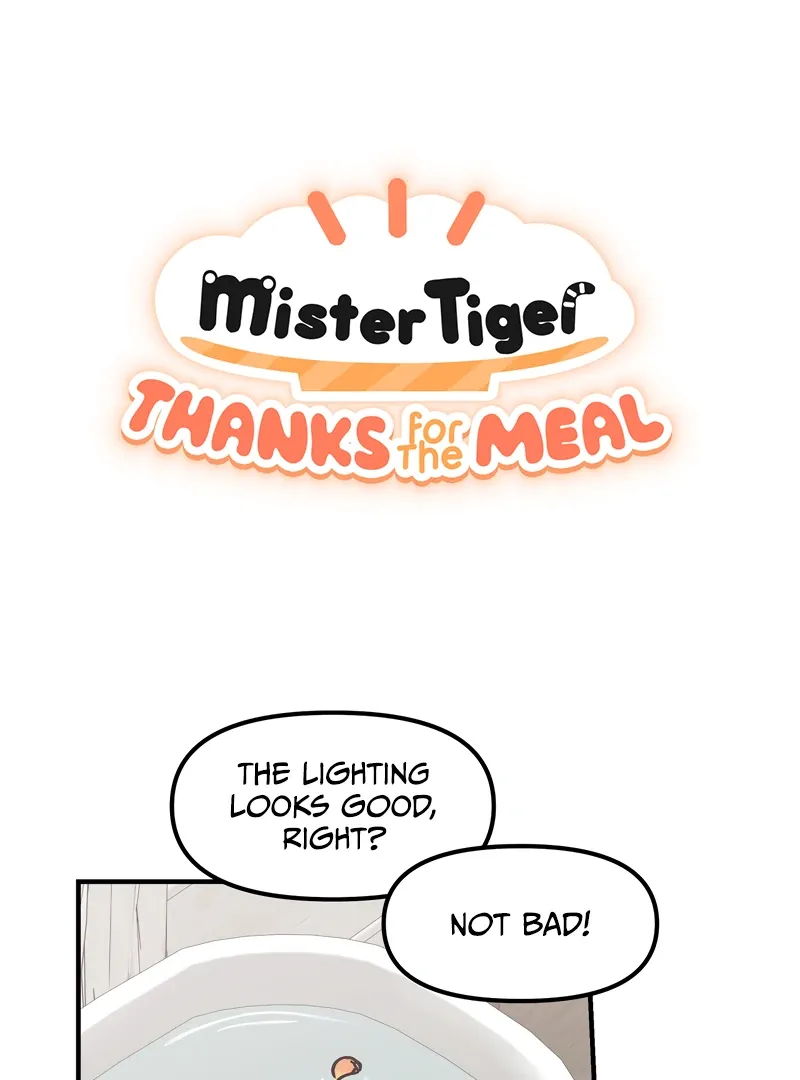 Mr. Tiger, Thank you for the Meal - Chapter 15 Page 2