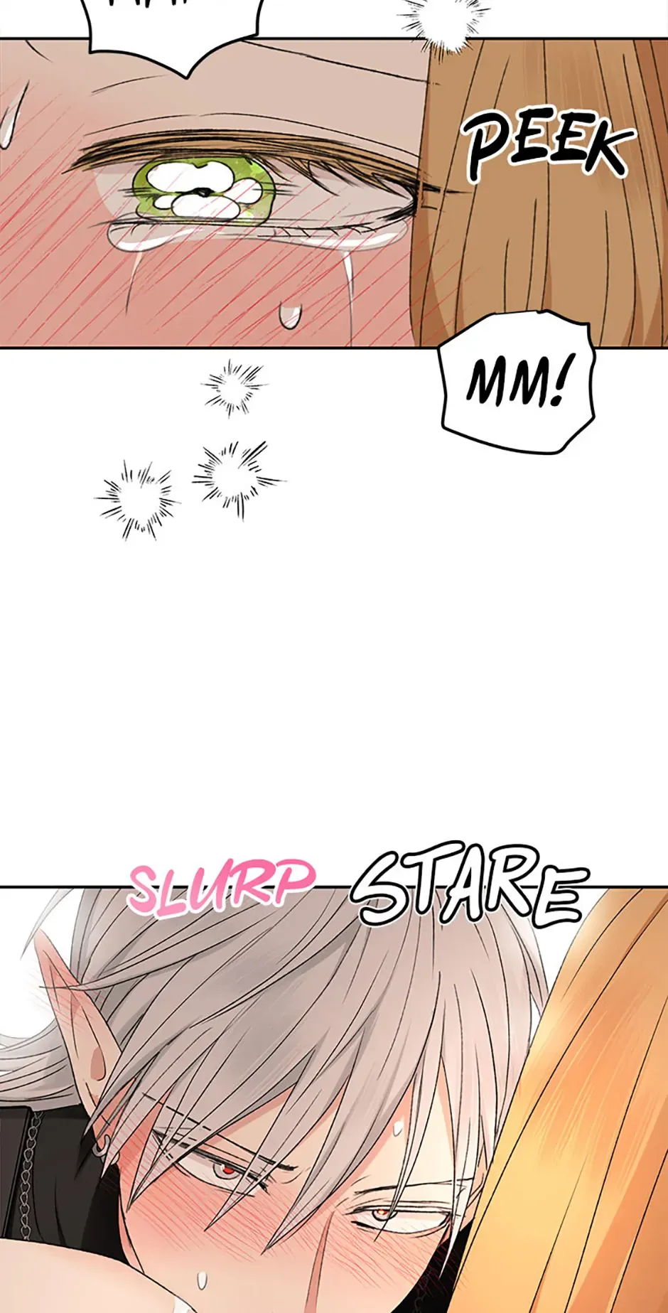 The Mating Of Elves - Chapter 23 Page 17
