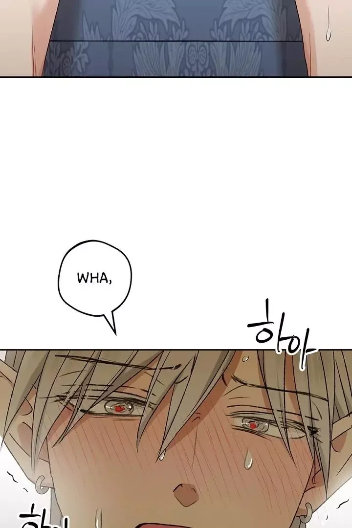 The Mating Of Elves - Chapter 40 Page 90