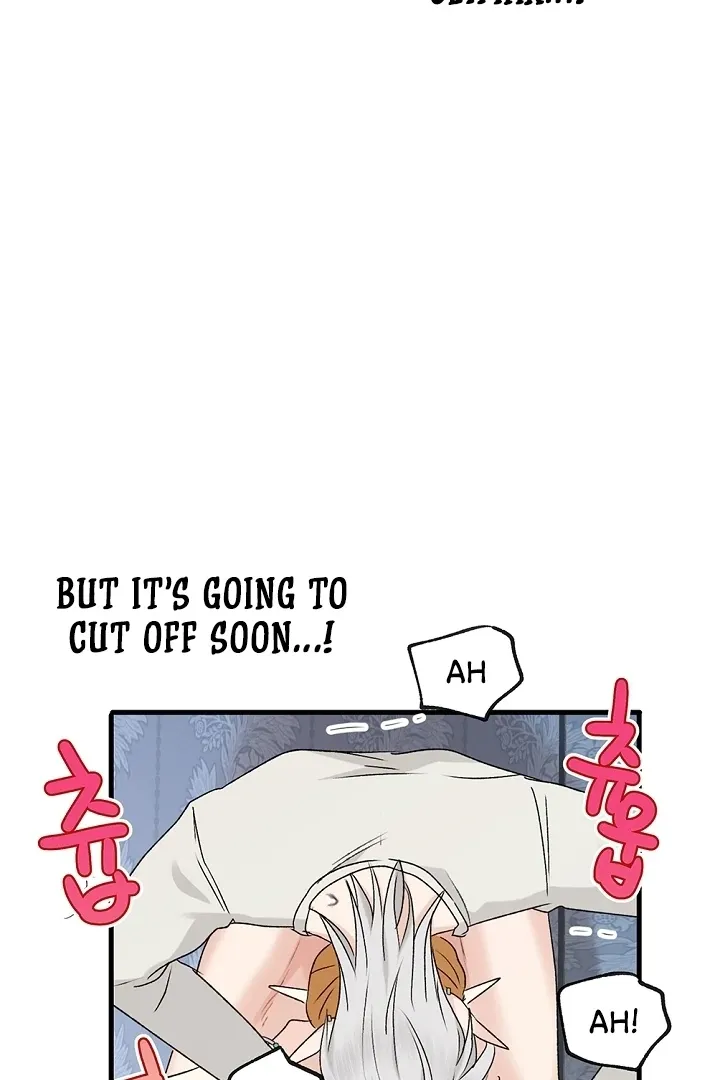 The Mating Of Elves - Chapter 41 Page 81