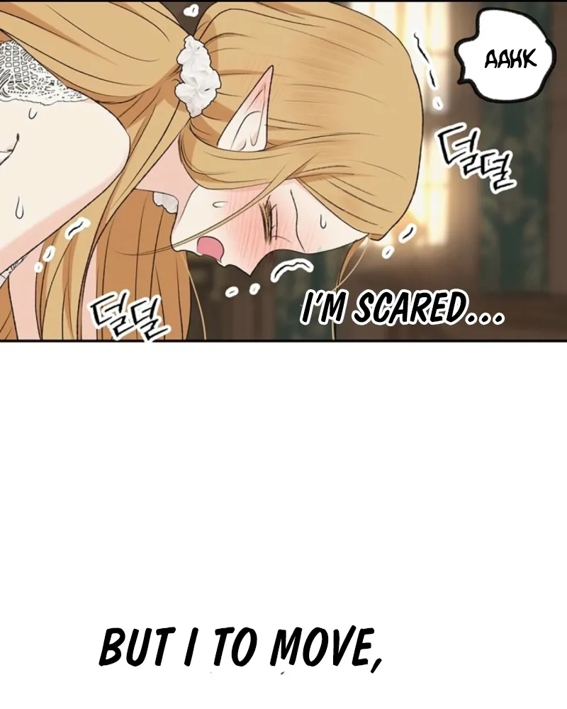 The Mating Of Elves - Chapter 42 Page 112