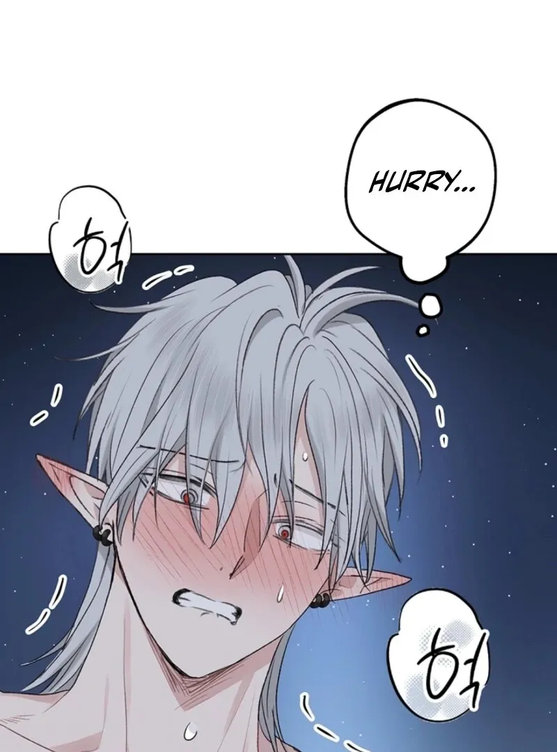 The Mating Of Elves - Chapter 47 Page 97