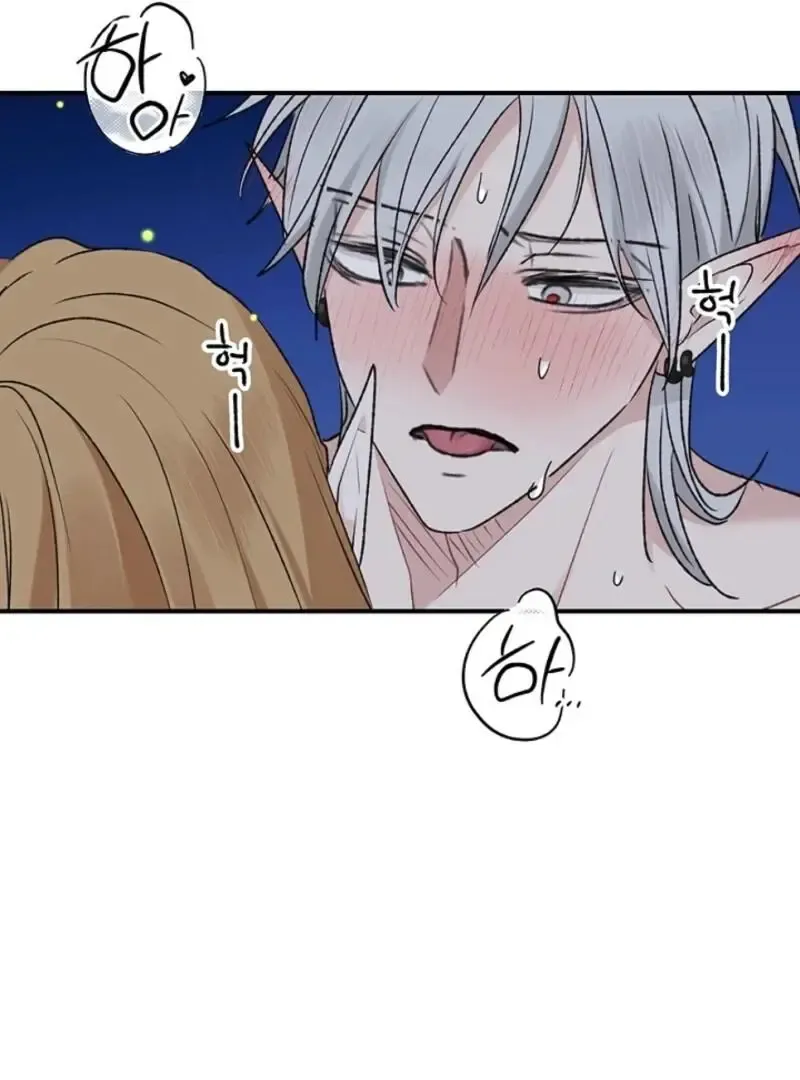 The Mating Of Elves - Chapter 48 Page 40