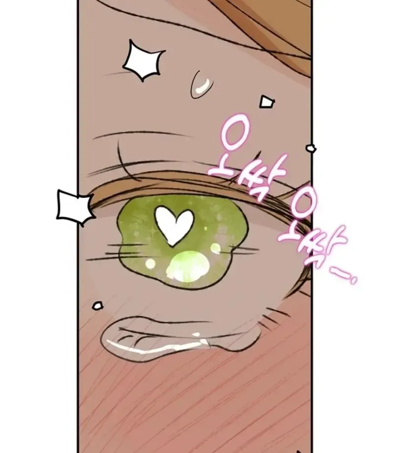 The Mating Of Elves - Chapter 48 Page 51