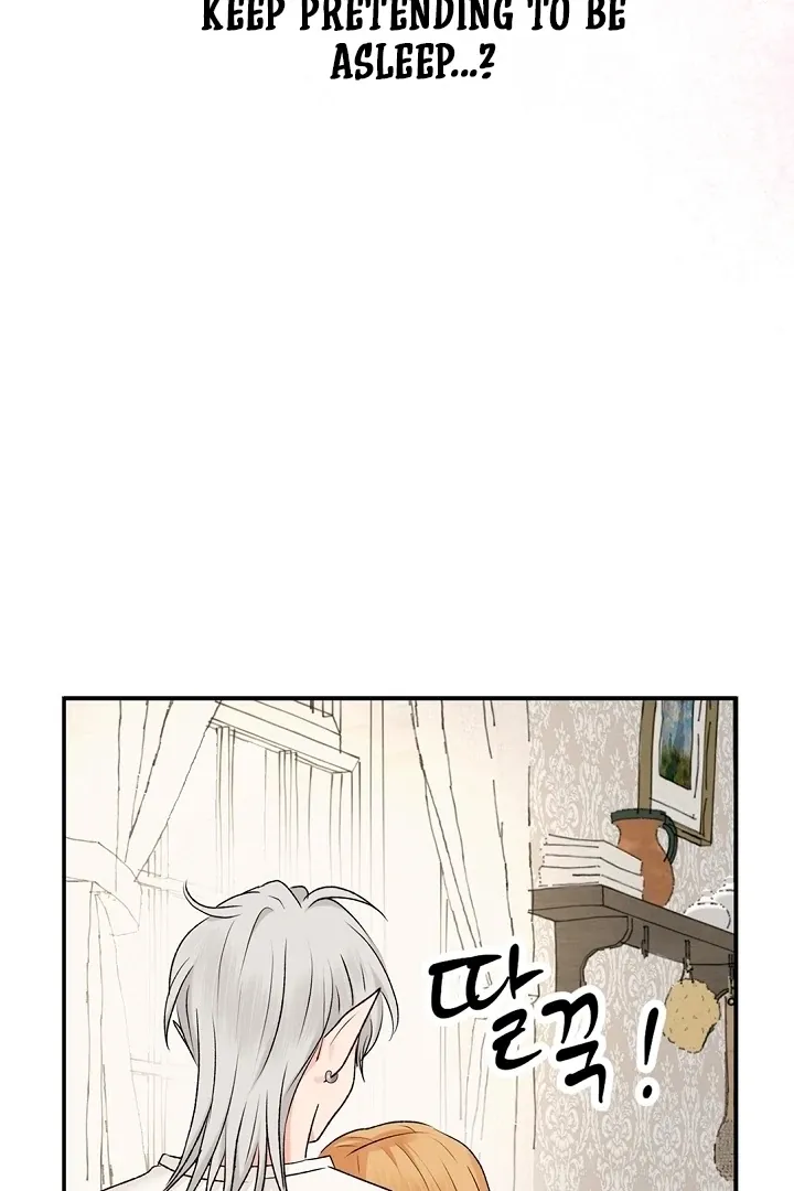 The Mating Of Elves - Chapter 49 Page 80