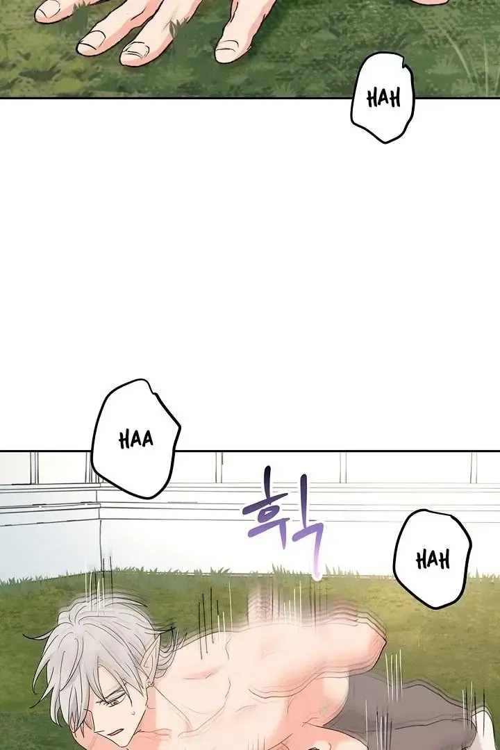 The Mating Of Elves - Chapter 50 Page 22