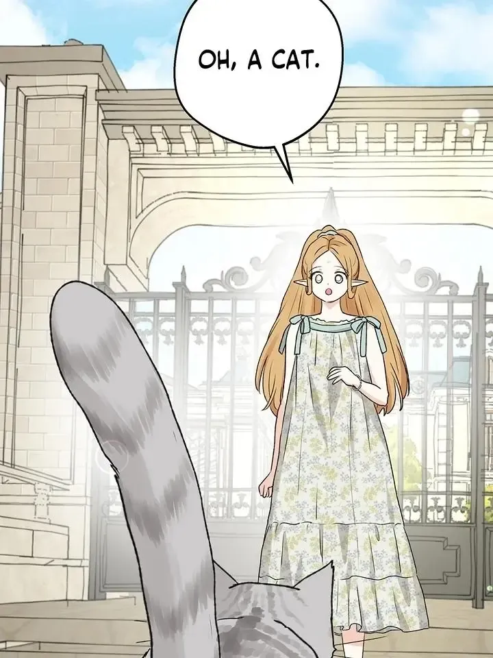 The Mating Of Elves - Chapter 53 Page 41