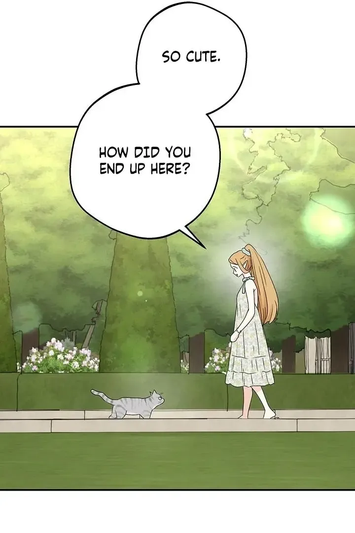 The Mating Of Elves - Chapter 53 Page 43