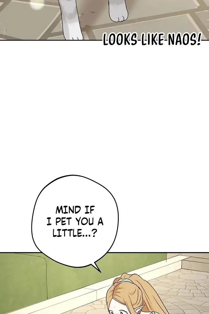 The Mating Of Elves - Chapter 53 Page 45