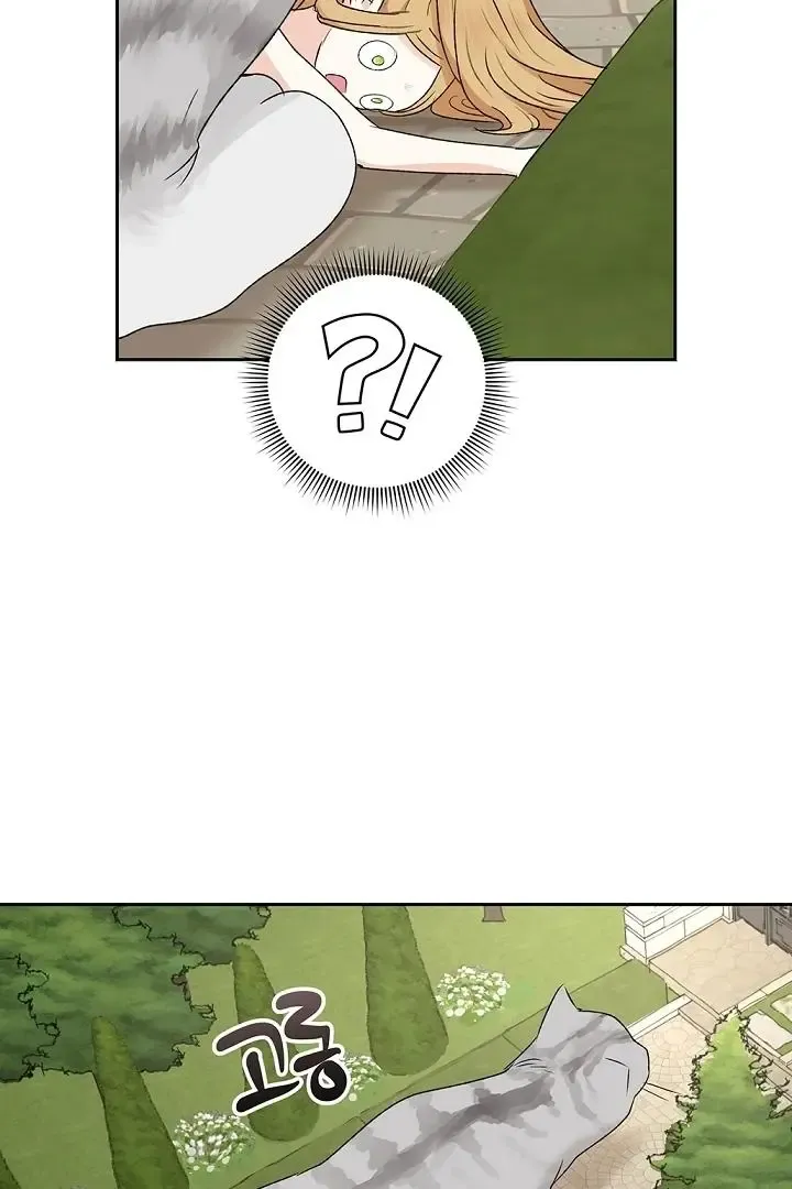 The Mating Of Elves - Chapter 53 Page 53