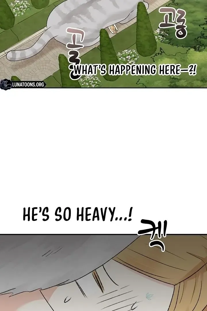 The Mating Of Elves - Chapter 53 Page 54