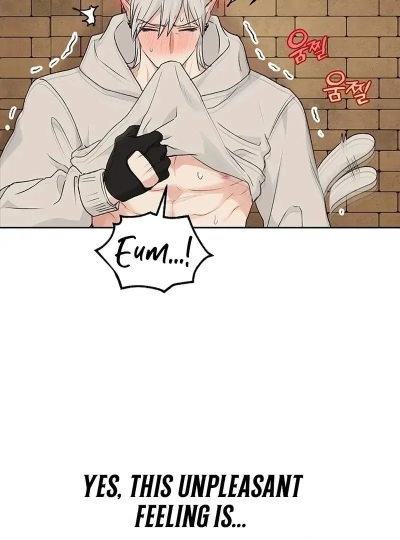 The Mating Of Elves - Chapter 56 Page 44
