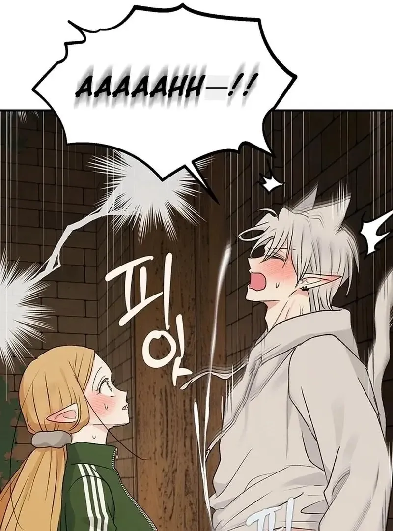 The Mating Of Elves - Chapter 56 Page 92
