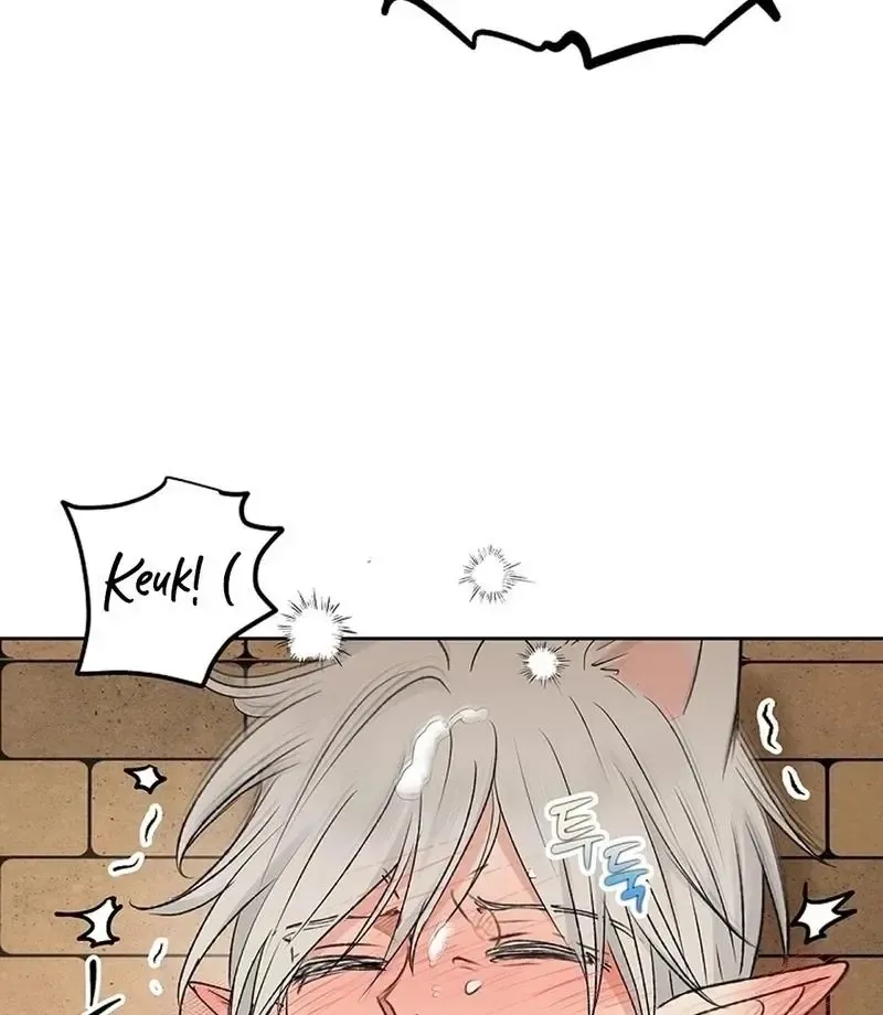 The Mating Of Elves - Chapter 56 Page 94
