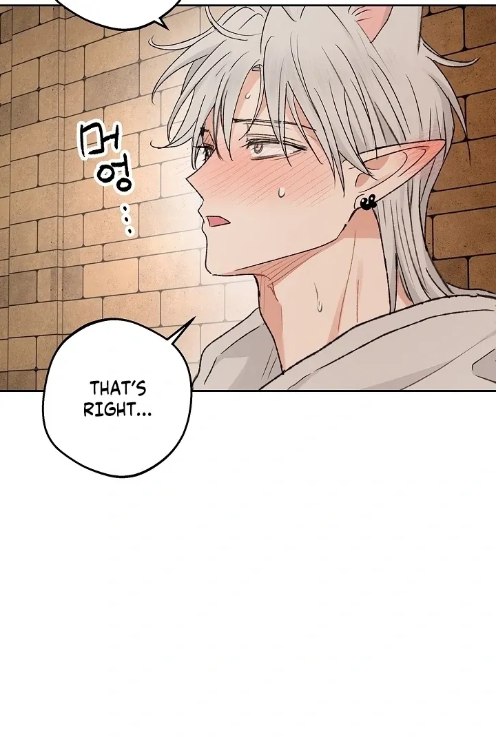 The Mating Of Elves - Chapter 57 Page 28