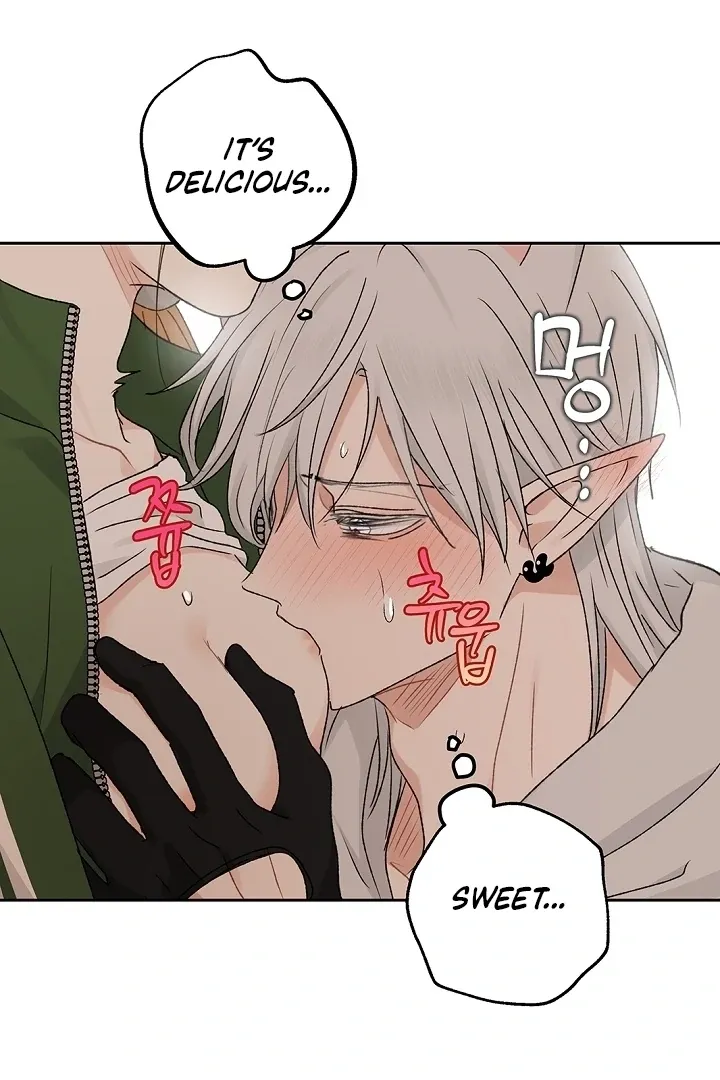 The Mating Of Elves - Chapter 57 Page 45