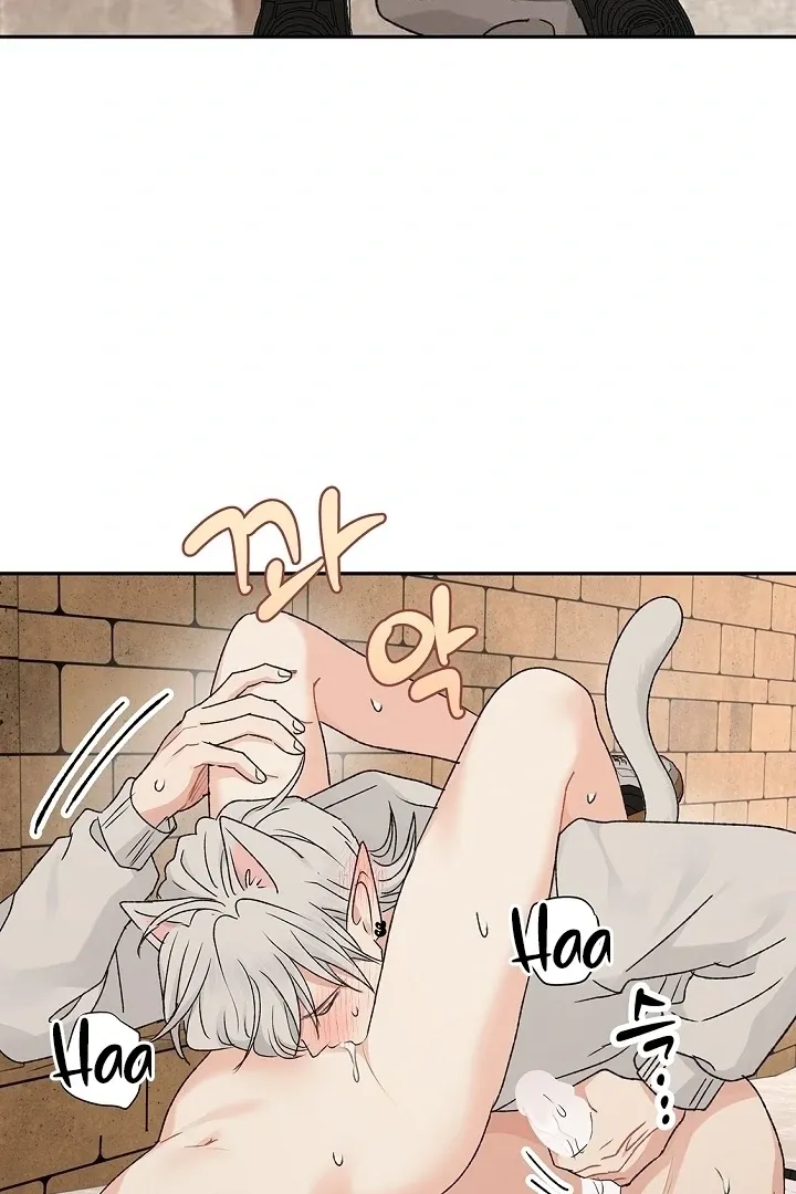 The Mating Of Elves - Chapter 58 Page 14