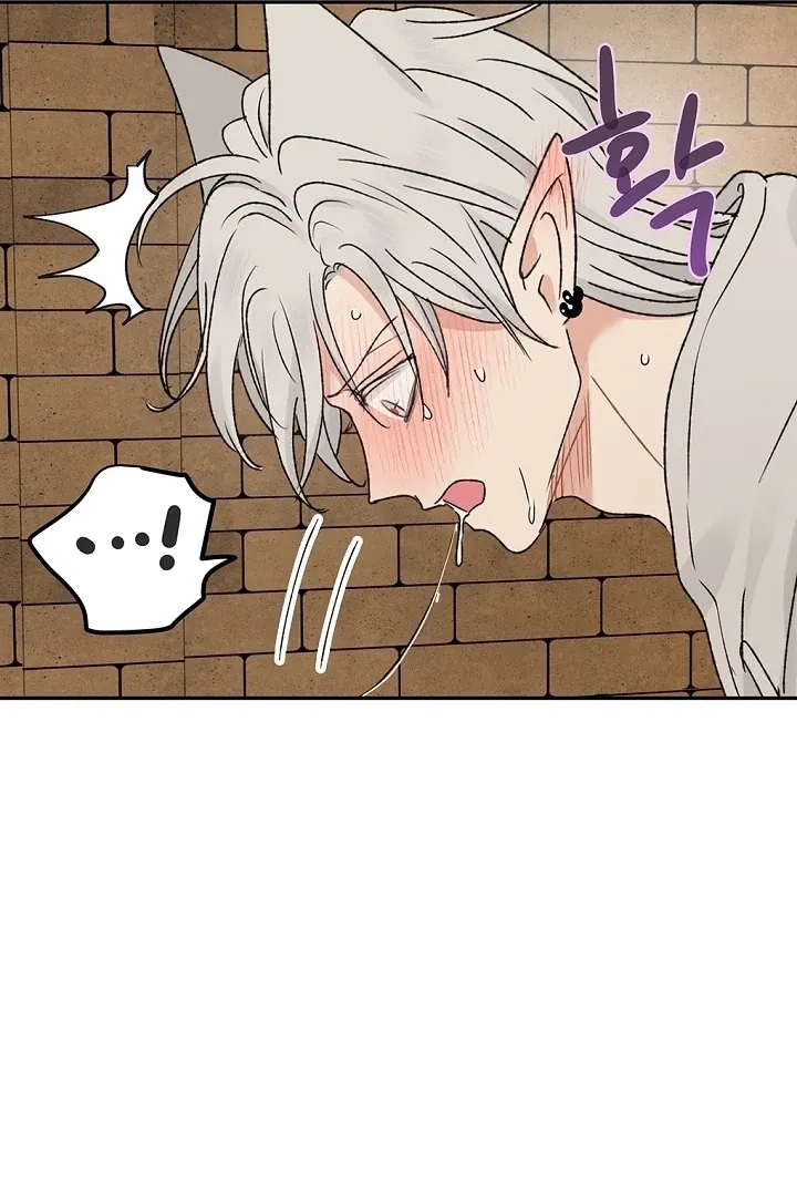 The Mating Of Elves - Chapter 58 Page 41