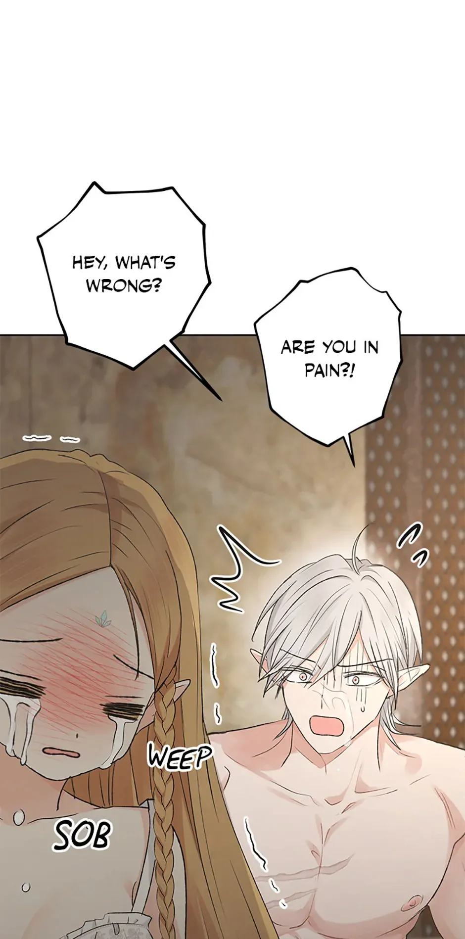 The Mating Of Elves - Chapter 8 Page 11