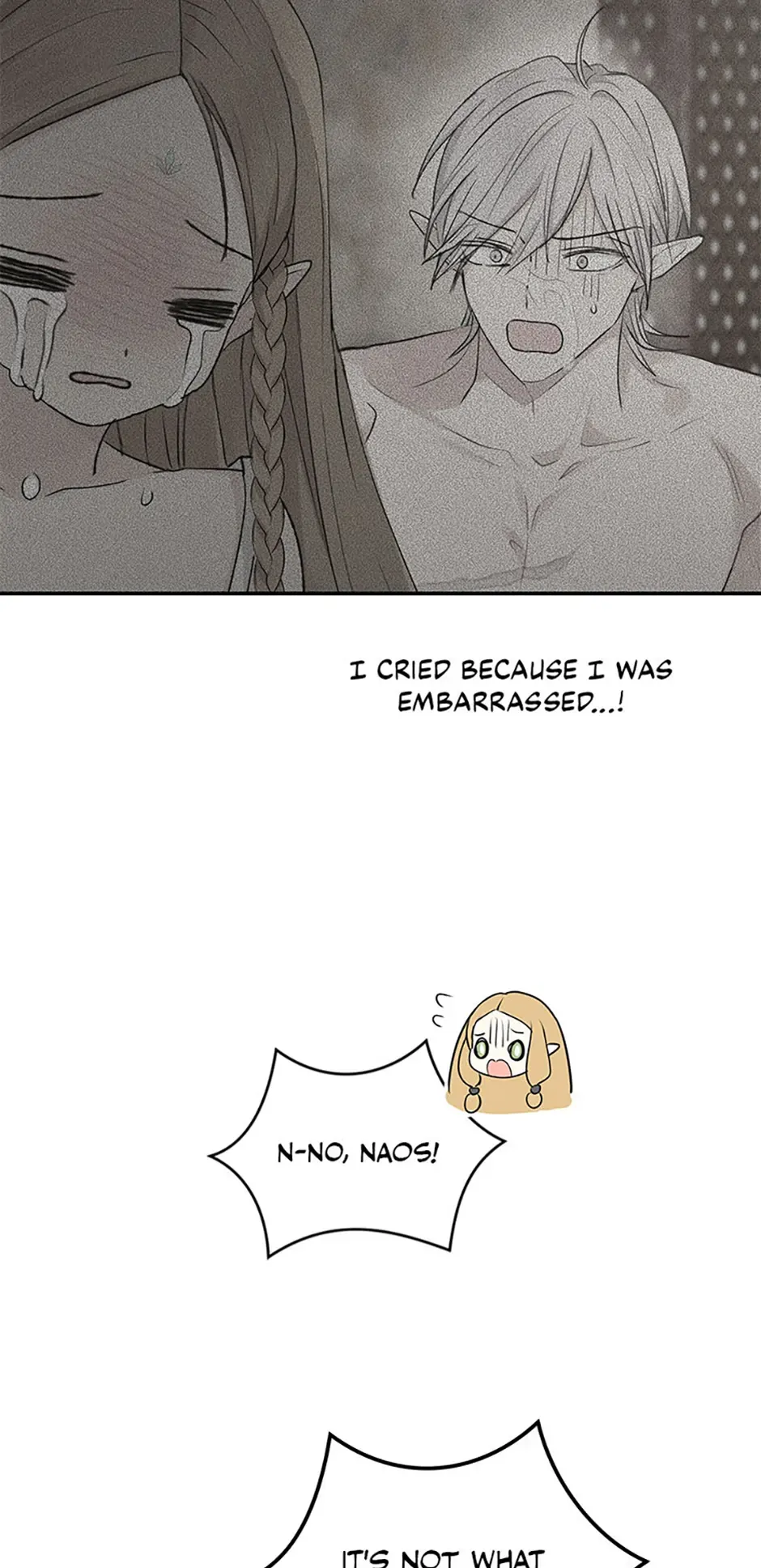 The Mating Of Elves - Chapter 9 Page 19