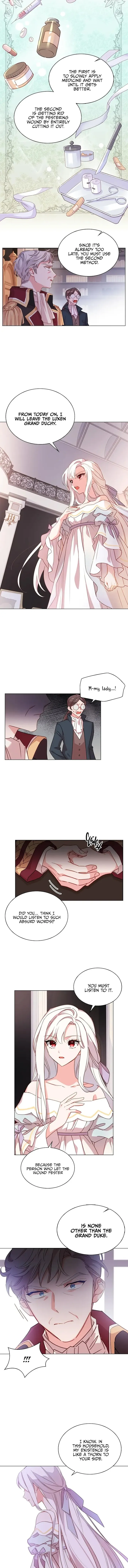 The Lady Wants To Rest - Chapter 3 Page 7