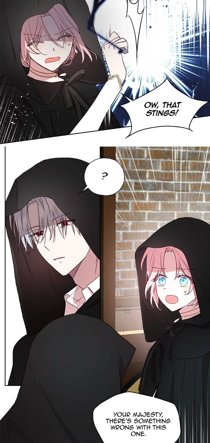 Seduce The Villain’s Father - Chapter 27 Page 45
