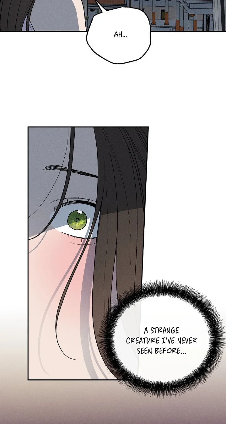 Love comes on a Moonlit Night - Chapter 7 Page 13
