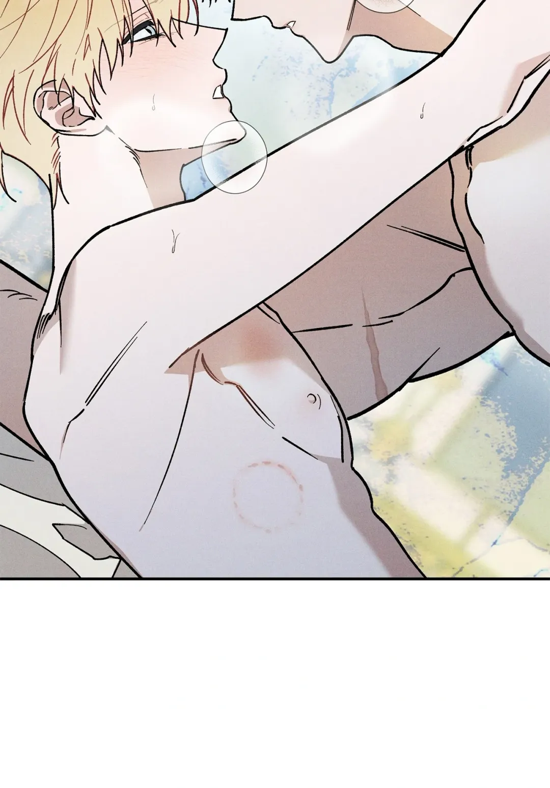 The Rogue Prince Is Secretly an Omega - Chapter 32.05 Page 13