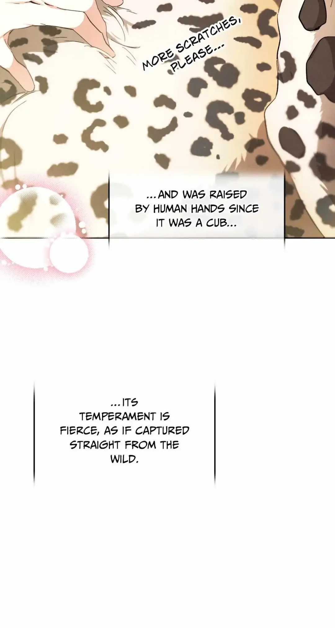 The Snake That Swallowed The Pomegranate - Chapter 23 Page 31