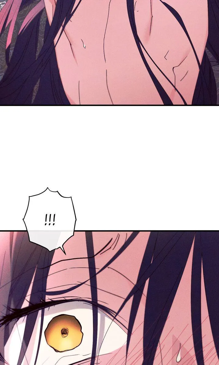 The Snake That Swallowed The Pomegranate - Chapter 49 Page 101